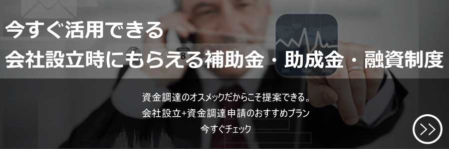 会社設立 補助金 助成金 融資 同時 コンサルティング サポート